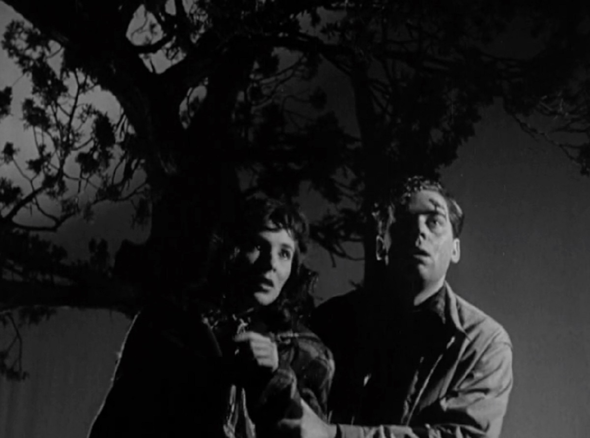 Carla Balenda and Elliott Reid on the run in a town of Communists in The Whip Hand (1951)