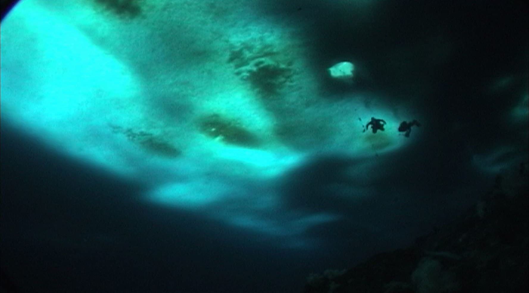 The astronauts explore the alien plant (in actuality documentary footage of divers beneath the Antarctic icecap) in The Wild Blue Yonder (2005)