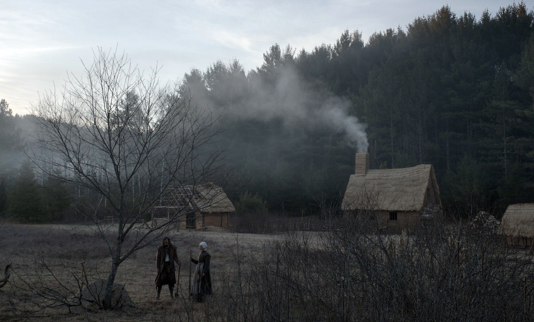 Husband and wife Ralph Ineson and Kate Dickie set up home amid the harshness of life in the 17th Century in The Witch: A New-England Folktale (2015)