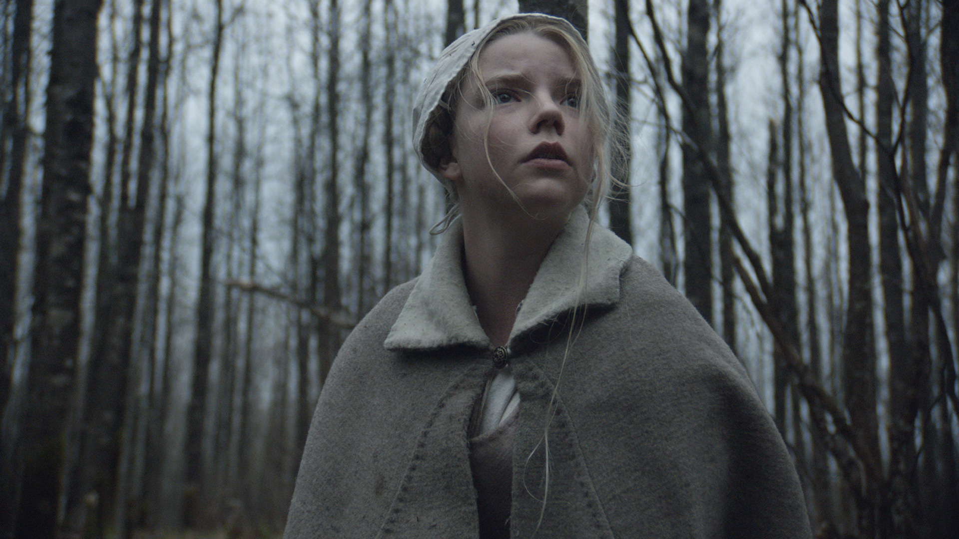 Thomasina (Anya Taylor-Joy) ventures into the woods in The Witch A New-England Folktale (2015)