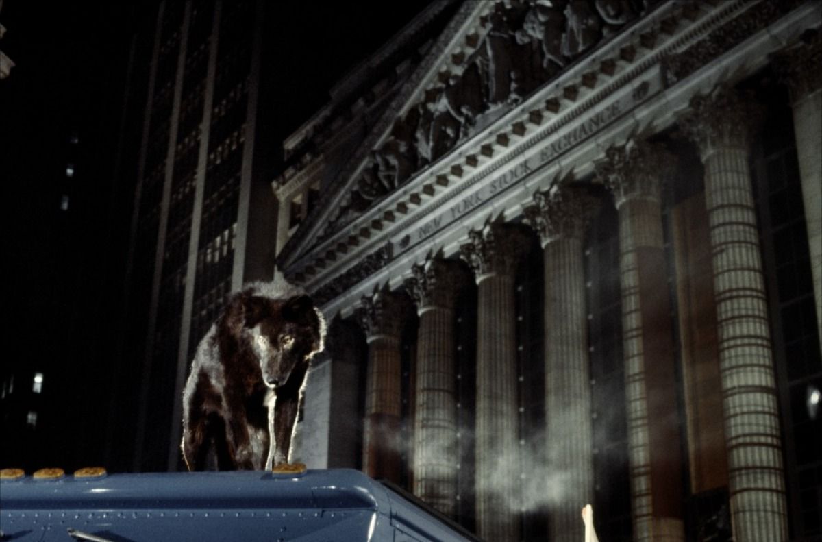 Intelligent wolves on the hunt in New York City in Wolfen (1981)