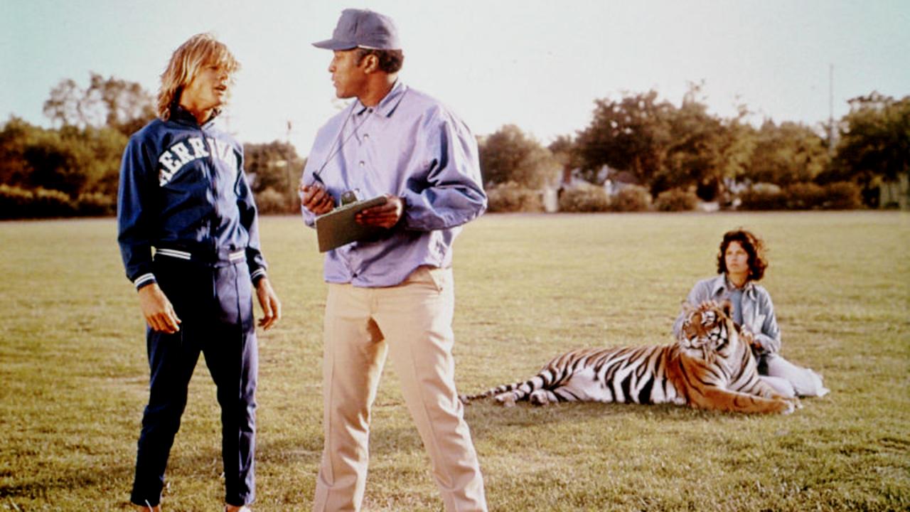 The World's Greatest Athlete (1973) - IMDb