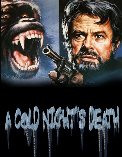 A Cold Nights Death (1973) poster