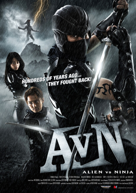 AVN (2010) poster