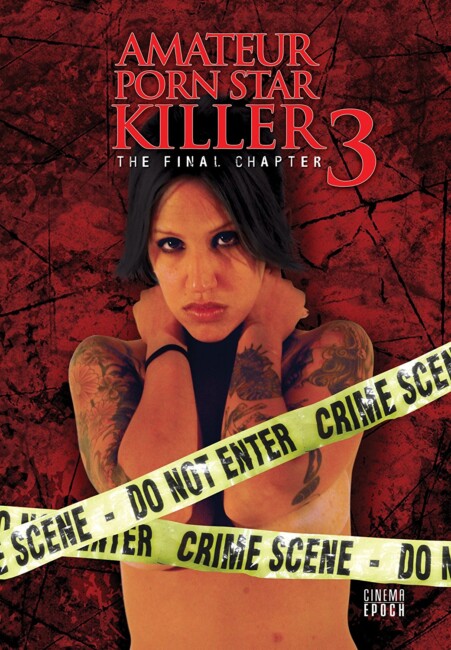 Amateur Porn Star Killer 3: The Final Chapter (2009) poster