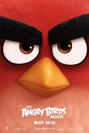 Angry Birds (2006) poster
