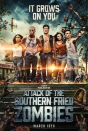 Attack of the Southern Fried Zombies (2017) poster