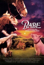Babe (1995) poster