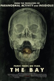 The Bay (2012) poster