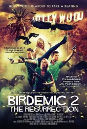 Birdemic 2: The Resurrection (2013) poster