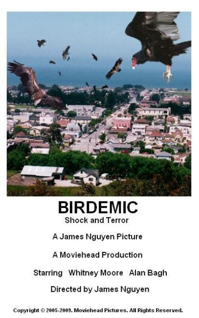 Birdemic: Shock and Terror (2008) poster