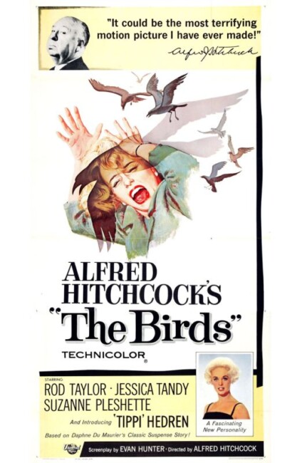 The Birds (1963) poster