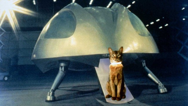 The Cat from Outer Space (1978) - Moria
