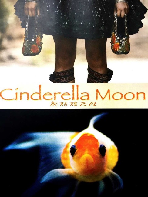 Cinderella Moon (2010) poster