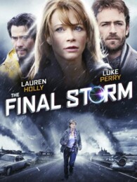 The Final Storm (2010) poster