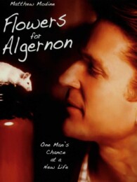 Flowers for Algernon (2000)