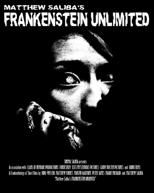 Frankenstein Unlimited (2009) poster