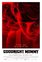 Goodnight Mommy (2014) poster