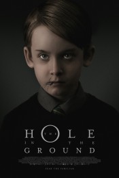 The Hole in the Ground (2019) poster