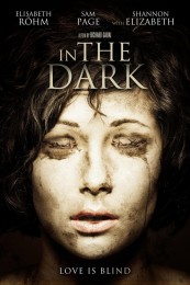 In the Dark (2013) poster