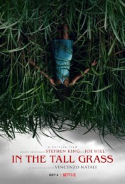 In the Tall Grass (2019) poster