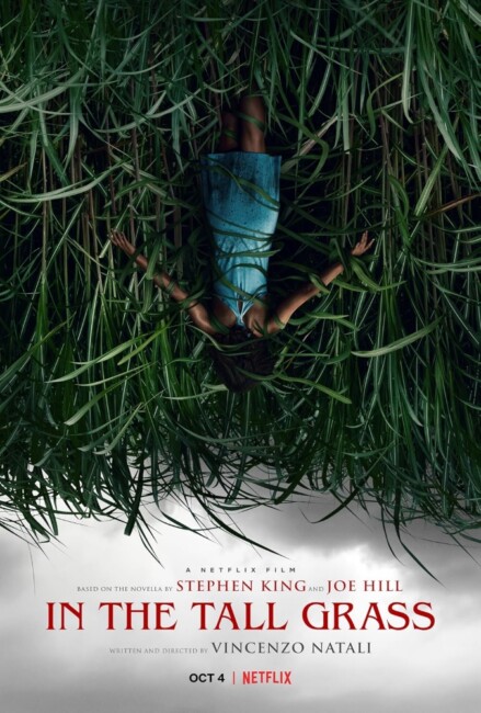 In the Tall Grass (2019) poster