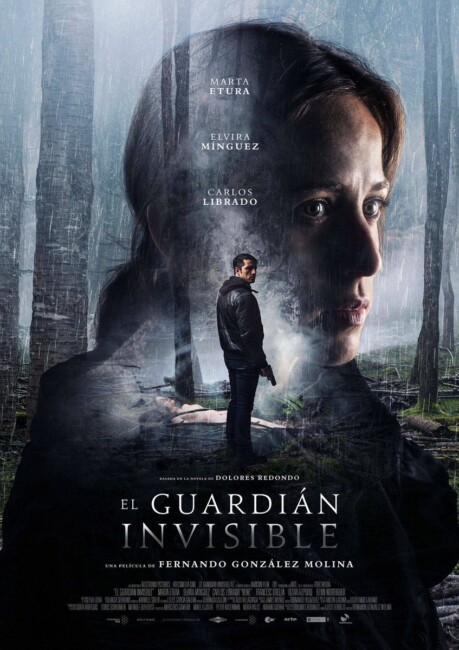 The Invisible Guardian (2017) poster