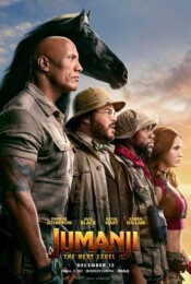 Jumanji: The Next Level (2019) poster