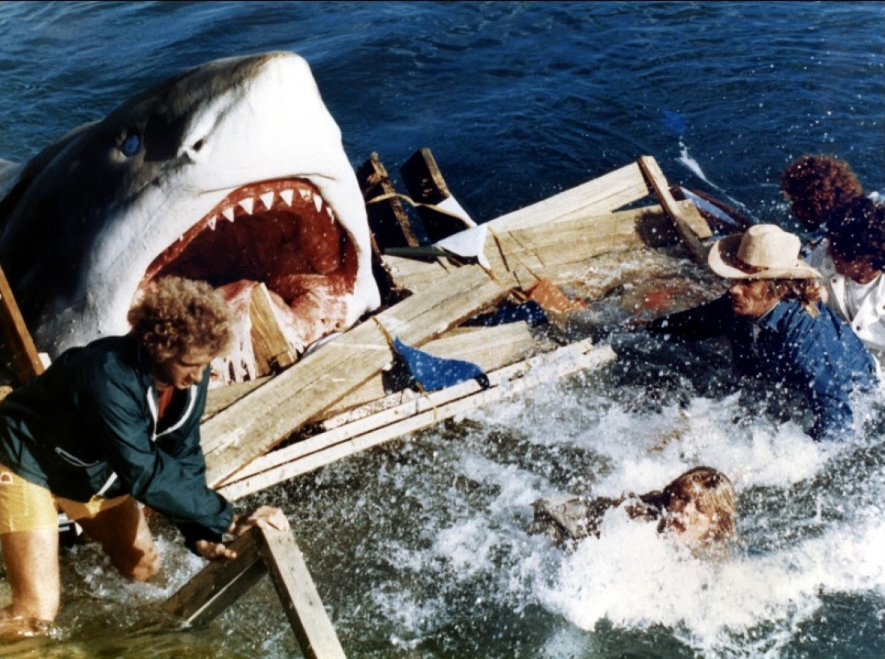 The Last Shark (1981)