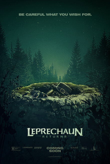 Leprechaun Returns (2018) poster