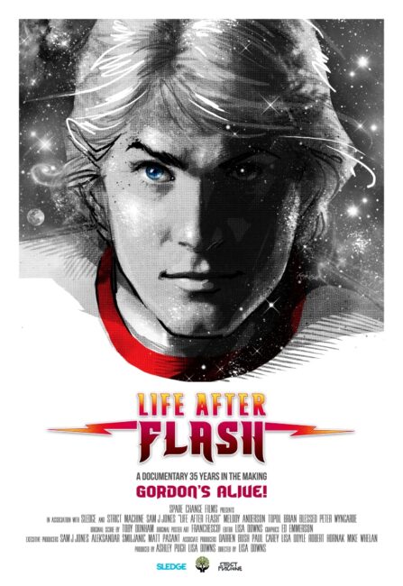 Life After Flash (2017) poster