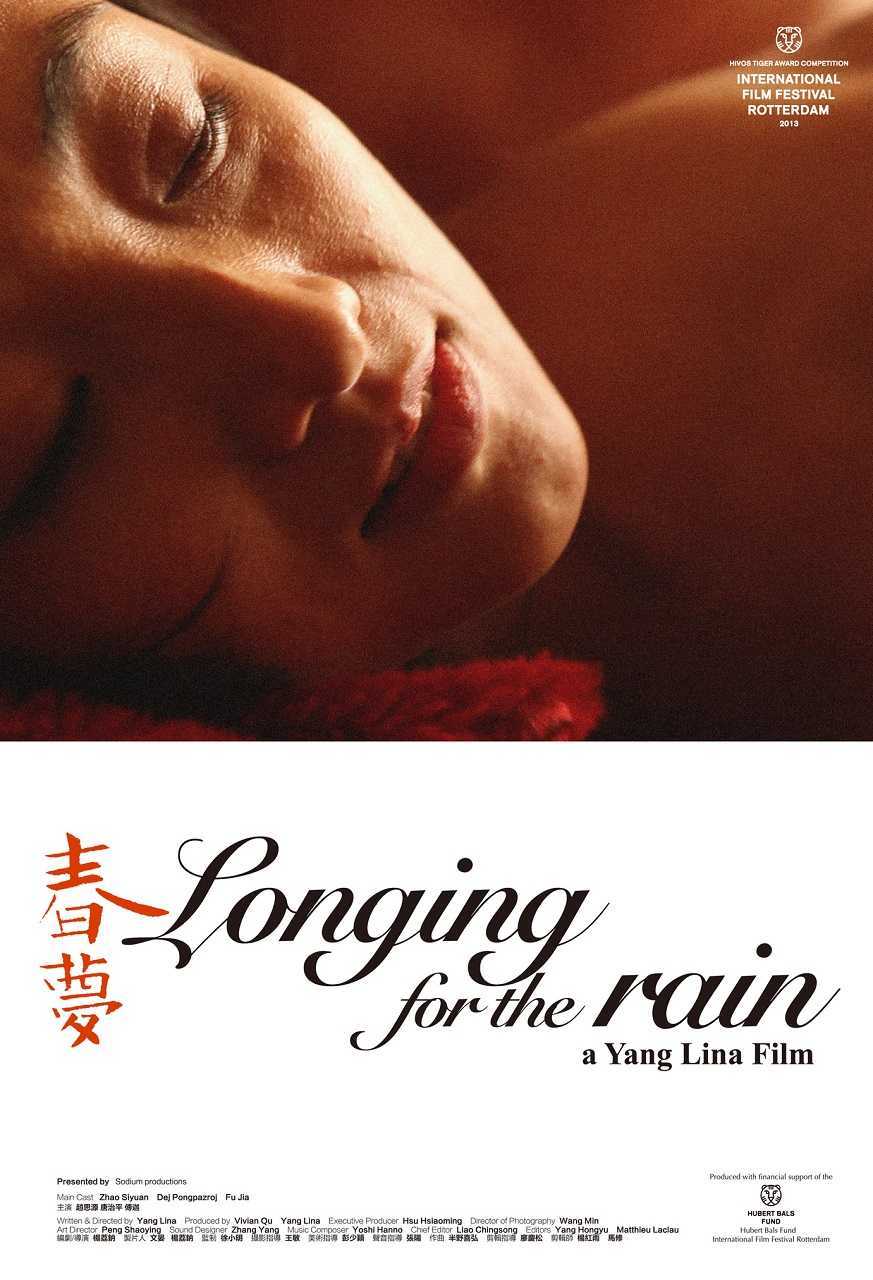 Longing for the Rain (2013) poster