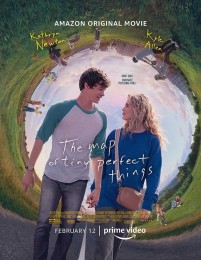 The Map of Tiny Perfect Things (2021) poster