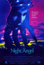 Night Angel (1990) poster