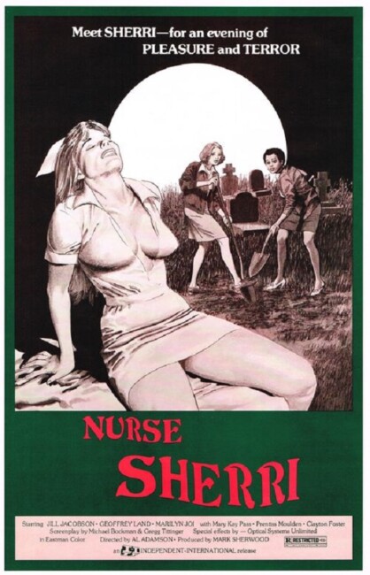 Nurse Sherri (1978) poster