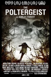 The Poltergeist of Borley Forest (2013) poster