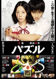 Puzzle (2014) poster