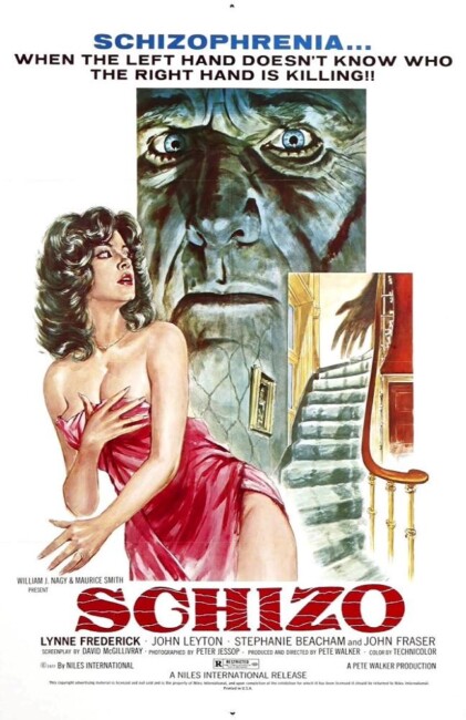 Schizo (1976) poster
