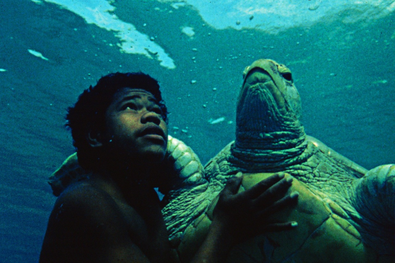 Telo Malese and the sea turtle in The Silent One (1984)