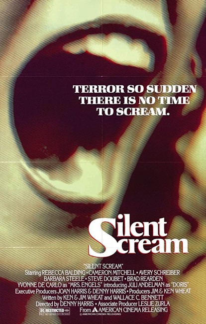 The Silent Scream (1980) poster