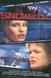 Snowbound (2001) poster