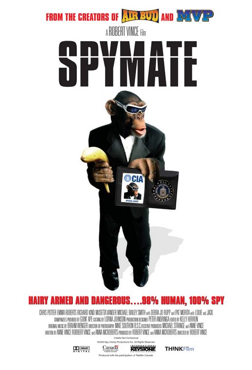 Spymate (2006) poster