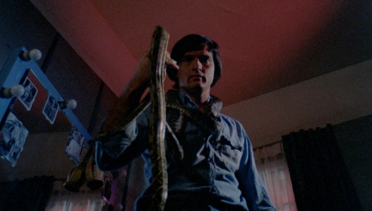 Chris Robinson as Tim with snake in Stanley (1972)