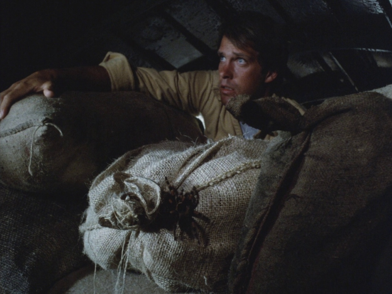 Charles Frank in Tarantulas: The Deadly Cargo (1977)
