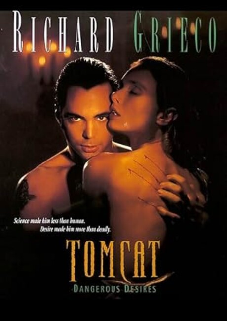 Tomcat: Dangerous Desires (1993) poster
