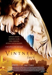 The Vintner's Luck (2009) poster