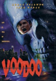 Voodoo (1995) poster