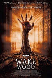 Wake Wood (2011) poster