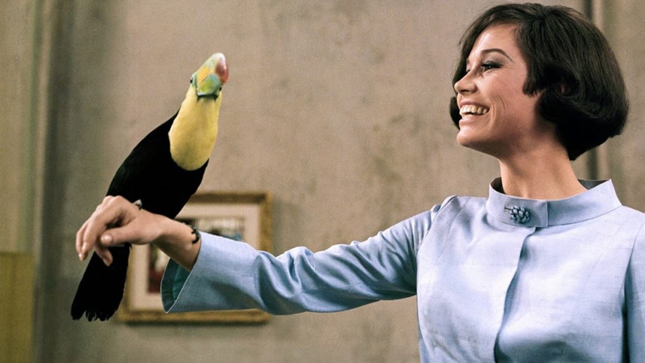 Mary Tyler Moore with toucan in What's So Bad About Feeling Good? (1968)
