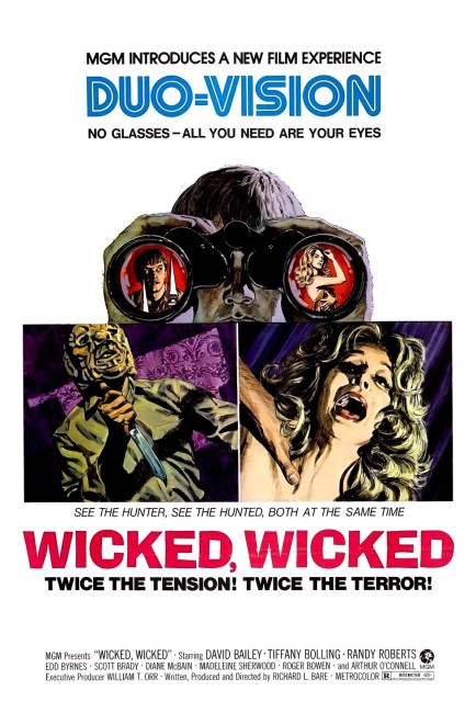 Wicked, Wicked (1973) poster